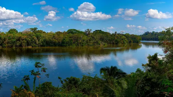 Reserva Nacional Tambopata en Madre de Dios