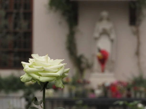 Qué representa Santa Rosa de Lima para la historia y la fe en el país