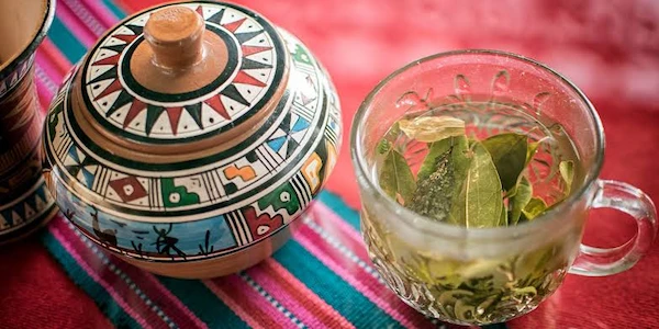 bebidas típicas de la sierra peruana mate de coca